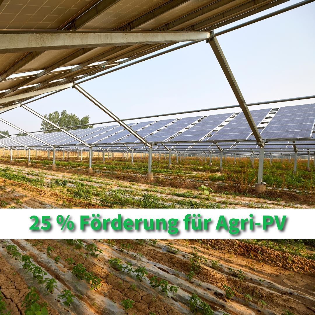 Agri-PV-Förderung